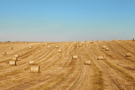 harvestの写真素材