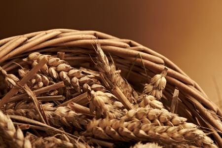 Traditional bread の写真素材