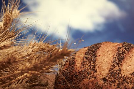 Traditional bread の写真素材