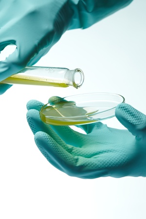 Laboratory glass の写真素材