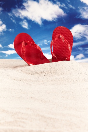 Holiday, summer, beach の写真素材