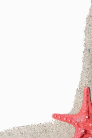 starfish on the beach, vacation memories の写真素材