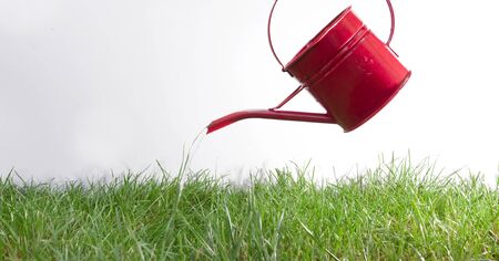 a hand watering green grass with a small bright red watering can の写真素材