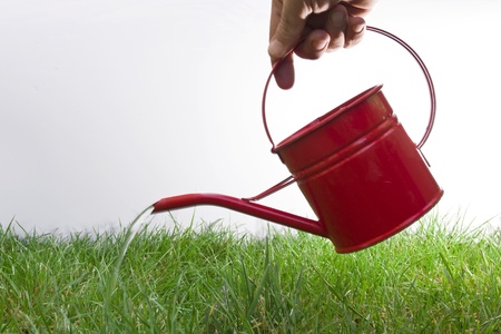 a hand watering green grass with a small bright red watering can の写真素材
