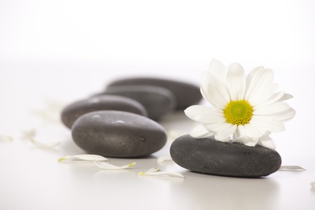 Spa still life with white flowers の写真素材