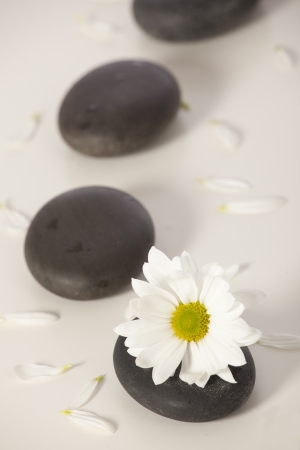Spa still life with white flowers の写真素材