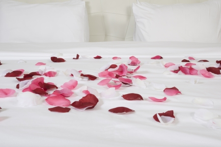 hotel room with big bed and red flowersの写真素材