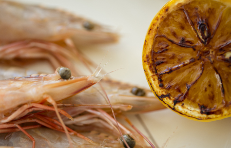 shrimps on white plate over dark back groundの写真素材
