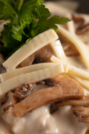 Spinach Chicken Alfredo Parmesan Pasta. Selective focus. High quality photoの写真素材