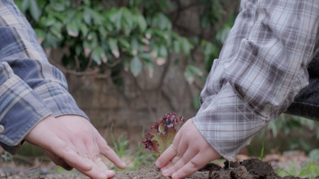 Boy planting a new tree, concept Save the Earth, save the world, save planet, ecology concept.photoの写真素材