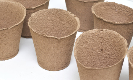 Peat pots for growing seedlings isolated on white backgroundの写真素材