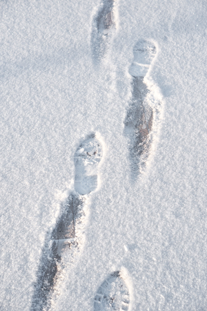 Footprints in the fresh snowの写真素材