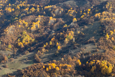 Autumn Landscape. Yellow Aspens on the hillside.の写真素材