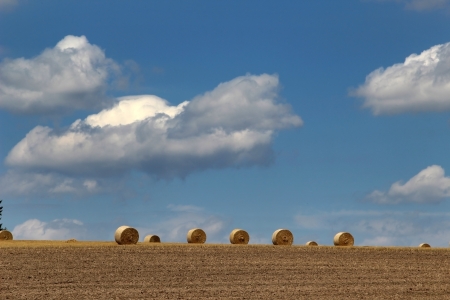 Field and blue sky with beautiful white clouds
の写真素材
