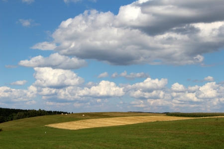 Field and blue sky with beautiful white clouds
の写真素材
