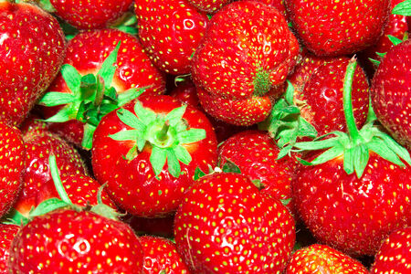  ripe strawberries
の写真素材