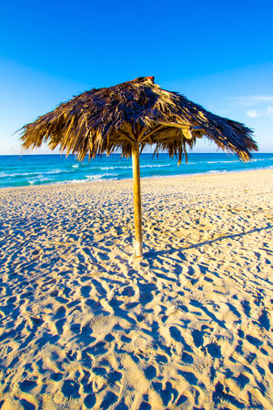 Natural umbrella on a beautiful beach in Cubaの写真素材
