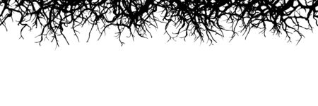Dead Branch Panorama Banner - Silhouette - Horizontal Vector Backgroundの写真素材