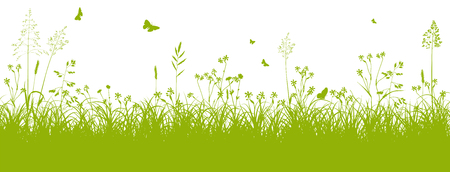 Fresh Green Grass Landscape with Herbage and Butterflies in Springtime on White Background - Vector Illustrationのイラスト素材