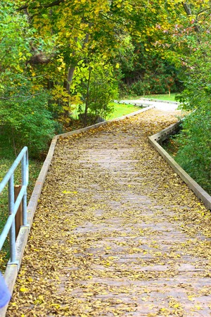 Trails and walkways at Elora trails beside the riverの写真素材