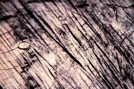 Wooden Grunge Textureの写真素材
