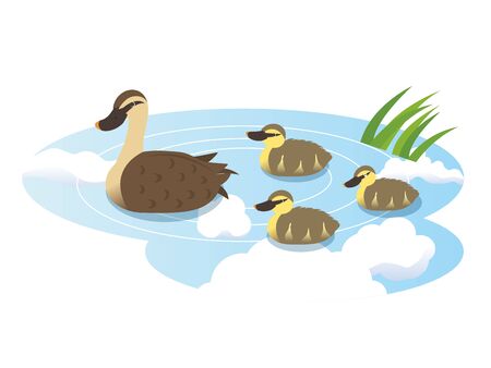 It is an illustration of a Duck family.のイラスト素材