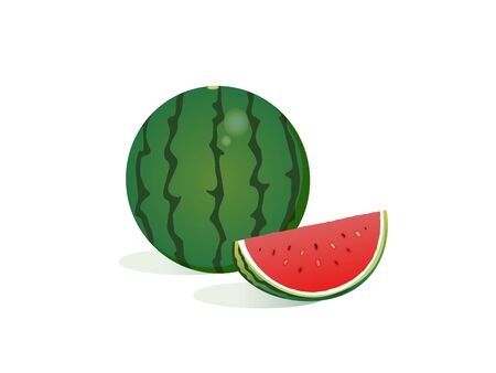 Watermelon illustration.のイラスト素材