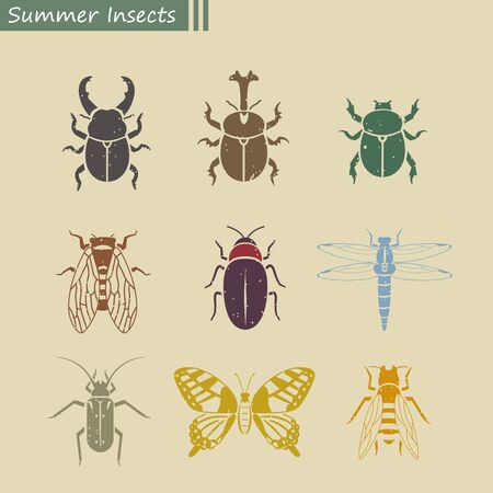 Summer insects.のイラスト素材