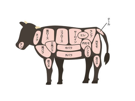 It is an illustration of a Beef body parts.のイラスト素材