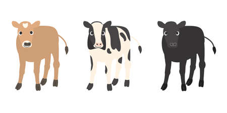 It is an illustration of a Calf set.のイラスト素材