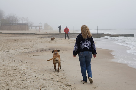 beach in fogの写真素材