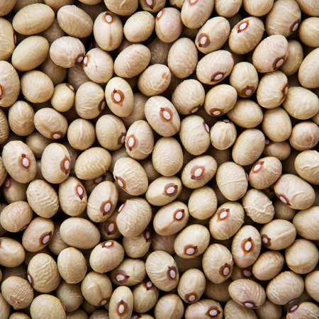 Brown Rice close-up on white