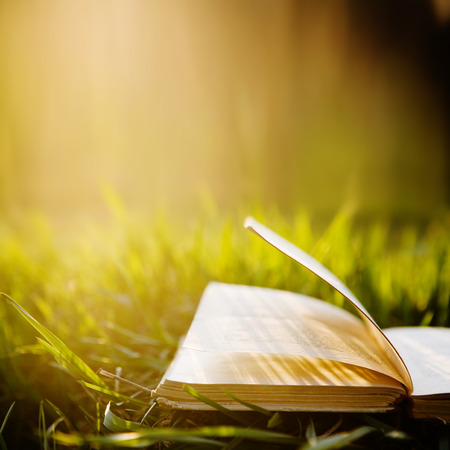 Summer backgound with open book and bokehの写真素材