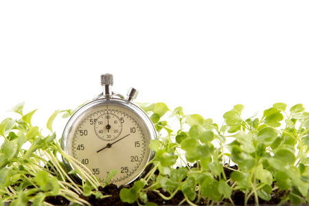 Time to grow - business profit conceptの写真素材