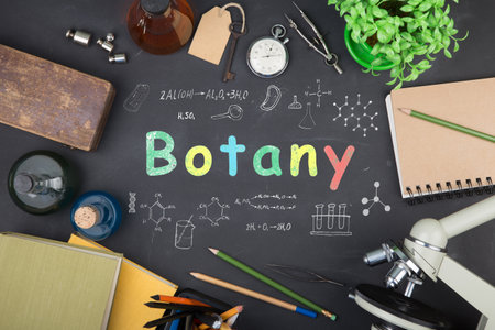 Education concept - books, microscope and Botany inscription on the blackboardの写真素材