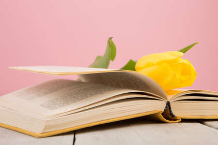 education and reading concept - open book with flower, pink background