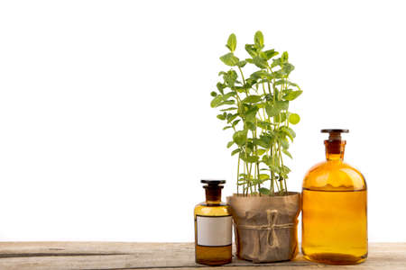 Vintage pharmacy bottles and medical herb isolated on whiteの写真素材
