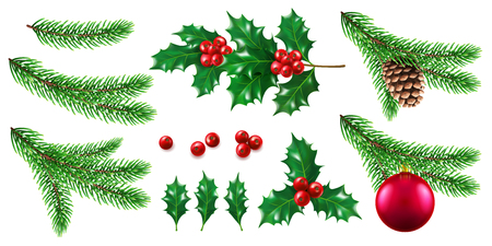 Branch of pine tree with new year and christmas toy, twig of fir tree with cone, holly berry. Mistletoe fruits and pinecone, ilex and spruce. Winter holidays and celebration, festive themeのイラスト素材