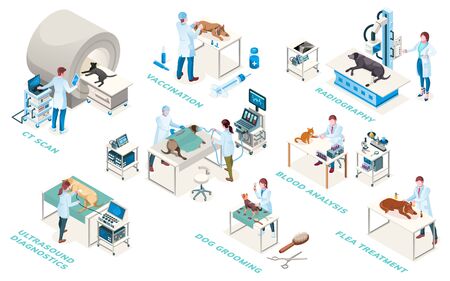 Veterinarian clinic doctors, diagnostic and treatment services, vector isometric icons. Veterinary medicine surgery, medical examination ultrasound, blood analysis, radiography and vaccinationのイラスト素材