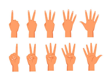 Set of vector hands showing fingers. Front and back view of palm with fingers counting. Sign for one and two, three, four, five numbers. Wrist with digit gesture. Math education for school. Arm countのイラスト素材