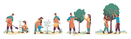 Planting tree isolated growth process set, cartoon man and woman cartoon characters gardening together. Vector people plant sprout with shovel, couple husband and wife gardeners growing apple-treeのイラスト素材