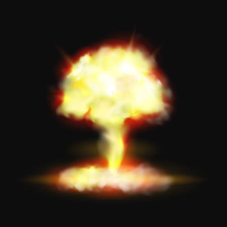 Mushroom fire explosion bomb or pyro burst realistic 3D effect on black background. Vector fame and smoke, nuclear energy combustion, blazing orange flare. Hellfire, fireball, explosive burnのイラスト素材