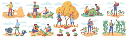 Harvesting season in farms and agriculture. People gathering and collecting ripe vegetables and fruits with berries. Farmers and workers in rural area. Cartoon character in flat style vectorのイラスト素材