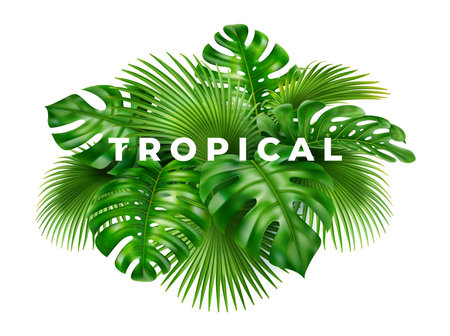 3D realistic background of green tropical leaves. Vector illustration of bushes and tree branches, vibrant paradise floral backdrop. Summer holiday decor, floral card, poster or banner designのイラスト素材