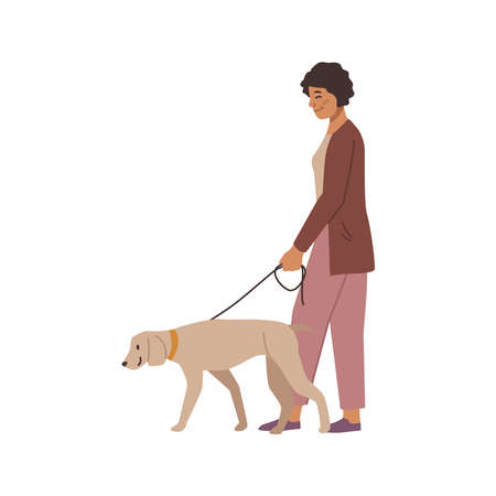 Woman walking with dog on leash, isolated flat cartoon character. Vector female with labrador retriever, pet and owner walks togetherのイラスト素材