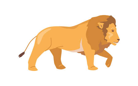 Lion african animal isolated flat cartoon wild brave and strong jungle animal with mane, side view. Vector illustration of walking lion with long tail, leo symbolのイラスト素材
