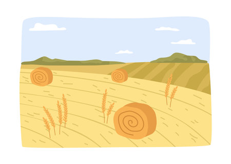 Agriculture and farming, village landscape with dry hay bales and straw. Farmland business and work at field. Countryside job growing crops. Vector in flat styleのイラスト素材