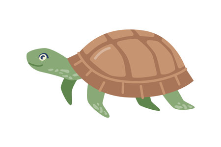 Tortoise animal, isolated slow moving reptile with leathery domed shell. Marine fauna and creature, nature and environment. Vector in flat cartoon styleのイラスト素材