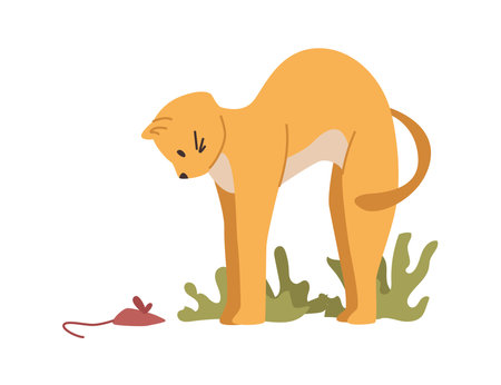 Ginger cat playing with toy, isolated kitten life and habits, every day routine. Feline animal with red fur, pet with mouselike plaything. Vector in flat styleのイラスト素材