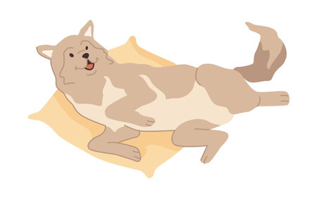 Husky breed of canine animal, isolated cute doggo laying on bed or soft pillow. Active dog personage wagging tail, playful puppy. Vector in flat styleのイラスト素材